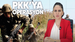 Güvenlik güçlerinden PKK’YA DARBE