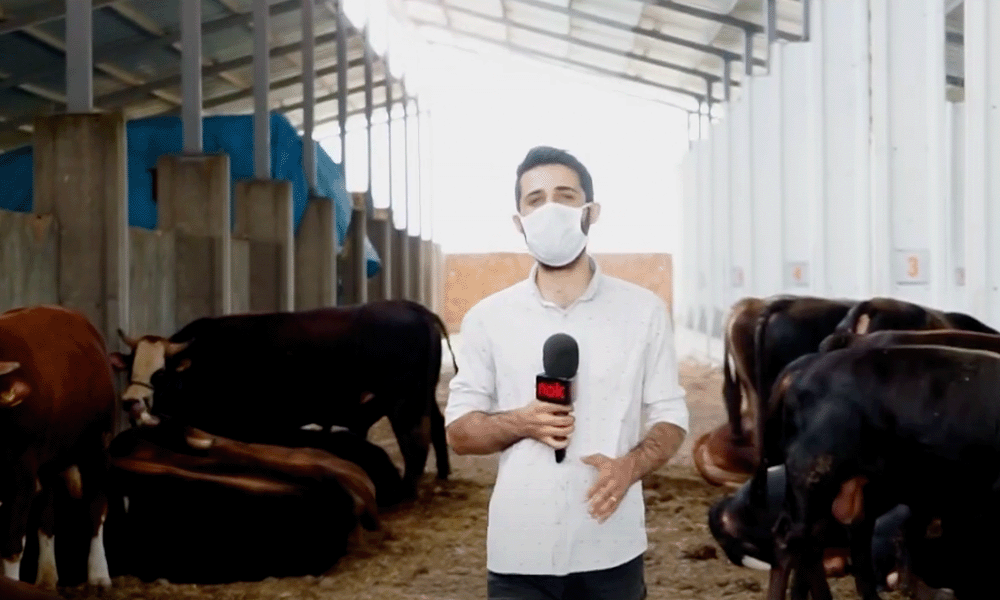 Atakum’da kurbanlık hayvanlar susuzlukla mücadele ediyor