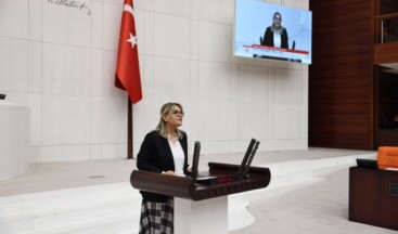 Hancıoğlu, deprem bölgesindeki kadınların sesini Meclise taşıdı